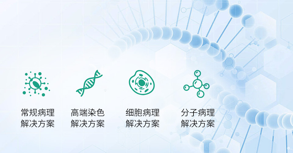 单独项目合作 —— 精准匹配病理需求